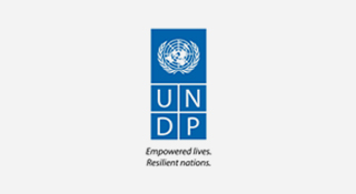 undp