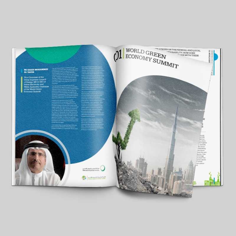State of Green Economy Report 2017