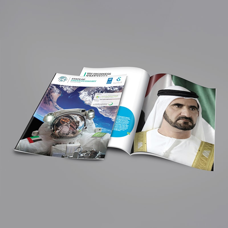 State of Green Economy Report 2016